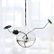 Hanging Glass Plants Planters, Transparent Hydroponic Glass Vase for Indoor Garden Home Decoration, Round, 120mm