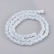 Opalite бисер пряди GLAA-F002-G04-2