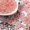Glass Seed Beads, Ceylon, Round Hole, Round, Salmon, 4x3mm, Hole: 1.5mm, 333pcs/20g
