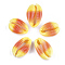 Printed Cowrie Shell Beads, No Hole/Undrilled, Gold, 20~25x13~17x7~8mm