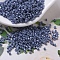 MIYUKI Delica Beads, Cylinder, Japanese Seed Beads, 11/0, (DB0267) Opaque Blueberry Luster, 1.3x1.6mm, Hole: 0.8mm, about 2000pcs/10g