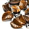 Natural Tiger Eye Pendants, with 201 Stainless Steel Finding, Leaf, 25.5~26x15x7mm, Hole: 4x8mm