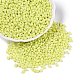 Выпечка краска стеклянные бусины SEED-T006-03D-3