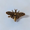 Zinc Alloy Twist Bag Lock Purse Catch Clasps, for DIY Bag Purse Hardware Accessories, Bees, Antique Golden, 3.35x4.8cm