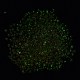 Светящиеся стеклянные бусины X1-SEED-A033-07M-5