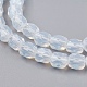 Opalite бисер пряди GLAA-F002-G04-3