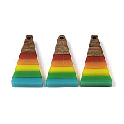 Подвески Pride на тему радуги из смолы и орехового дерева WOOD-K012-10C