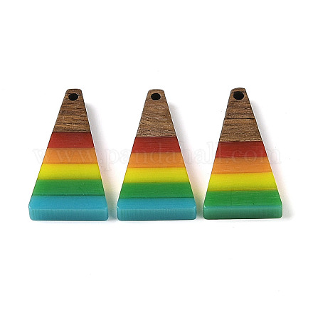 Подвески Pride на тему радуги из смолы и орехового дерева WOOD-K012-10C-1