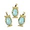 Synthetic Turquoise Pendant, with Brass Findings,  Lead Free & Cadmium Free, Long-Lasting Plated, Owl, 28.5x15.5x7mm, Hole: 5x8mm