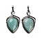 Natural Amazonite Pendants, Brass Shield Charms, Antique Silver, Lead Free & Cadmium Free, 45.5x26.5x7mm, Hole: 7x5mm