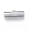 Tarnish Resistant 304 Stainless Steel Ribbon Crimp Ends, Rectangle, Stainless Steel Color, 10x25mm, Hole: 3x1.5mm