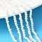 Natural Cultured Freshwater Pearl Beads Strands, Grade 4A+, Potato, Floral White, 2.8~3.2mm, Hole: 0.5mm, about 140~142pcs/strand, 15.35~15.55''(39~39.5cm)