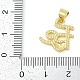 Подвески из латуни с эмалью в стойку KK-P287-49G-01-3