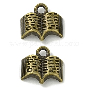 Сплавочные подвески тибетского стиля TIBE-I026-5986AB