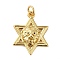Rack Plating Brass Micro Pave Cubic Zirconia Pendants, Cadmium Free & Lead Free, Long-Lasting Plated, Star with Lion, Real 18K Gold Plated, 22.5x17.5x5mm, Hole: 3mm
