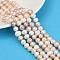 Natural Cultured Freshwater Pearl Beads Strands, Potato, Grade A++, Mixed Color, 8~9mm, Hole: 0.7mm, about 50~51pcs/strand, 35~35.8cm