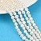 Natural Cultured Freshwater Pearl Beads Strands, Two Sides Polished, Grade 4A, Seashell Color, 5~6mm, Hole: 0.7mm, about 63pcs/strand, 13.46~13.66''(34.2~34.7cm)