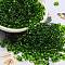 Glass Seed Beads, Transparent Colours, Peanut Shape, Green, 6x3x3mm, Hole: 1.2mm, about 4000pcs/pound