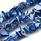 Natural Trochid Shell/Trochus Shell Beads Strands, Dyed, Nuggets, Royal Blue, 5~22x7~15x3~8mm, Hole: 1.2mm, about 65~70pcs/strand, 14.69~15.35''(37.3~39cm)
