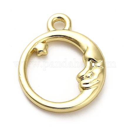 Подвески из сплава  FIND-A051-03B-G-1