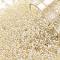 TOHO Round Seed Beads, Japanese Seed Beads, (147) Ceylon Light Ivory, 11/0, 2.2mm, Hole: 0.8mm, about 50000pcs/pound