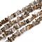 Natural Labradorite Chips Beads Strands, 2.5~6x4.5~10.5mm, Hole: 0.8~1mm, about 80~81cm