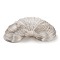 Steel Memory Wire, Bracelets Making, Silver, 50mm, 22 Gauge(0.6mm), 2500 circles/1000g