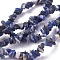 Natural Sodalite Beads Strands, Chip, 4~10x3~6mm, Hole: 0.5mm, 80~81cm