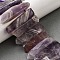 Natural Amethyst Beads Strands, Rectangle, Top Drilled, 22~60x6~14x6~9mm, Hole: 1.5~2mm, about 17~22pcs/strand, 7.48''~8.07''(19~20.5cm)