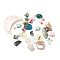 Mixed Style Natural Shell Pendants & Beads, Mixed Shapes, Mixed Color, 5.5~50.5x5~34.5x1~12.5mm, Hole: 0.7~2mm, about 75pcs/100g
