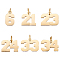 UNICRAFTALE 6Pcs 6 Style Golden Number Pendants 316 Surgical Stainless Steel Figure Pendants Meaningful Number Charms Metal Sport Number Necklace Pendants 12~14mm Charms for Jewelry Making