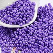 Выпечка краска стеклянные бусины SEED-H002-I-A505