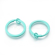 Железные брелоки с краской IFIN-L038-09-FF
