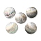 Natural Black Lip Shell Disc Pendants, with Brass Edge, Platinum, 36~41x2~3mm, Hole: 1.4~1.5mm