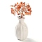 Natural Carnelian Chips Money Tree Decorations, Random Mixed Porcelain Vase Base with Copper Wire Feng Shui Energy Stone Gift for Home Office Desktop Decoration, 48~62x140mm