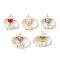 5Pcs 5 Colors Shell Pendants, Glass/Acrylic Imitation Pearl Tassel Shell Shaped Charms, Golden, Mixed Color, 22x26x9mm, Hole: 1.8mm, 1pc/color