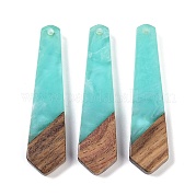 Подвески из смолы и дерева WOOD-F015-05B