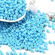 Выпечка краска стеклянные бусины SEED-H002-I-B504