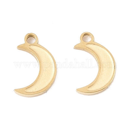 Подвески из нержавеющей стали 304 STAS-L022-546G-1