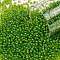 TOHO Round Seed Beads, Japanese Seed Beads, (306) Inside Color Jonquil/Shamrock Lined, 11/0, 2.2mm, Hole: 0.8mm, about 5555pcs/50g