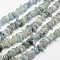 Chips Natural Aquamarine Beads Strands, 7~13x2~5mm, Hole: 1mm, about 14.9 inch