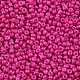 Выпечка краска стеклянные бусины SEED-S001-K24-2
