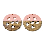Подвески из смолы и ореха WOOD-I013-05A