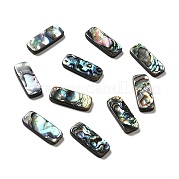 Бусины из натуральной ракушки пауа SHEL-G014-07A