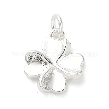 925 серебряный шарм FIND-Z069-04S-C-1