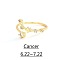 Twelve Constellation Brass Micro Pave Clear Cubic Zirconia Cuff Rings, Golden, Cancer, Inner Diameter: Adjustable