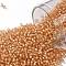 TOHO Round Seed Beads, Japanese Seed Beads, (923) Inside Color AB Crystal/Moccasin Lined, 11/0, 2.2mm, Hole: 0.8mm, about 5555pcs/50g