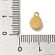 Подвески из стекла из нержавеющей стали 304 STAS-B074-02G-01-3
