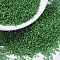 MIYUKI Delica Beads, Cylinder, Japanese Seed Beads, 11/0, Inside Colours Luster, (DB0274) Lined Pea Green Luster, 1.3x1.6mm, Hole: 0.8mm, about 100000pcs/500g