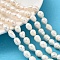 Natural Cultured Freshwater Pearl Beads Strands, Rice, Grade A, White, 8~9mm, Hole: 0.7mm, about 35~36pcs/strand, 13.39''~13.98''(34~35.5cm)